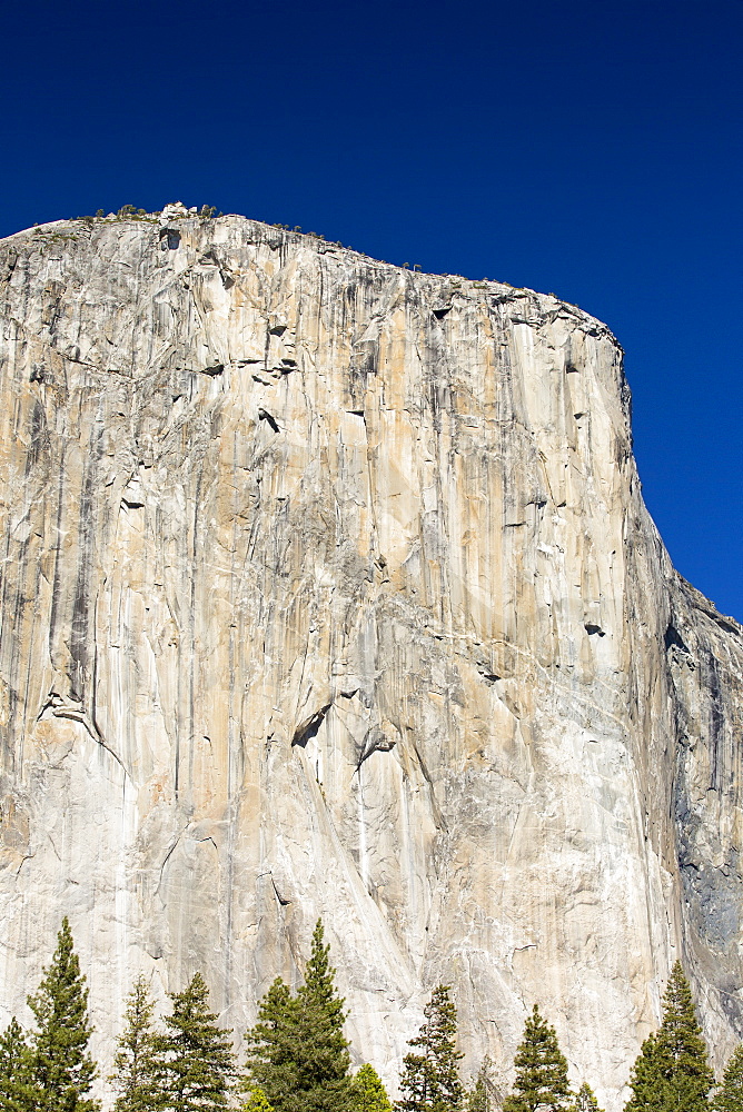 El capitan with climbers barely visible in Yosemite National Park, California, USA.