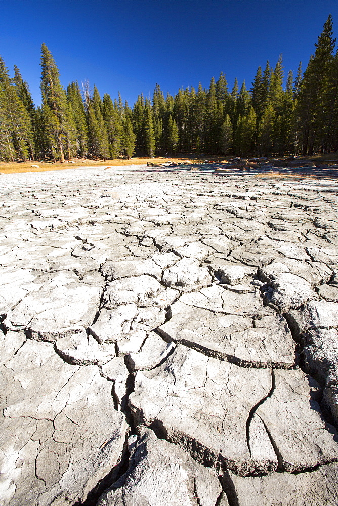 A drought impacted lake in Yosemite National Park, California, USA. Most of Califoprnia is in exceptional drought, the highest classification of drought.