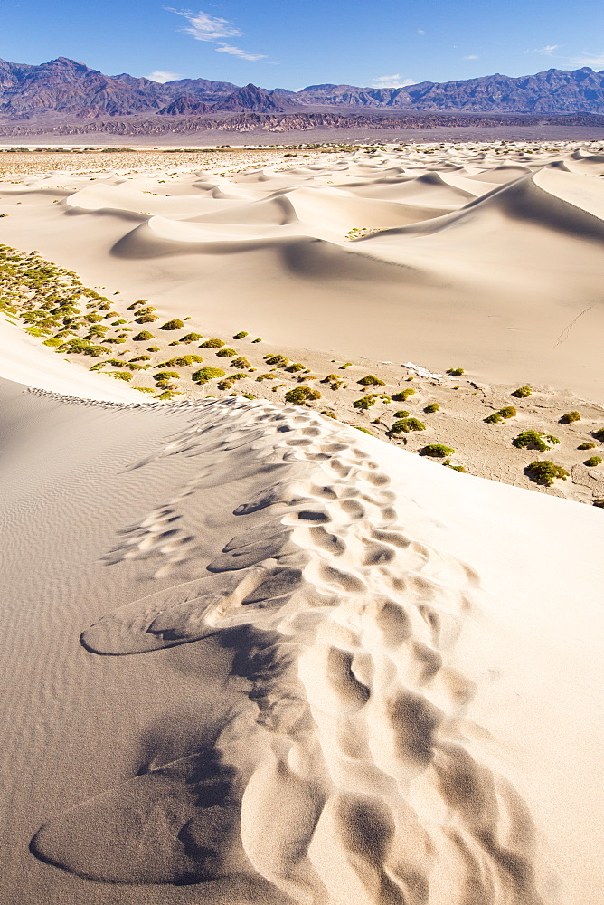 The Mesquite flat sand dunes in Death Valley which is the lowest, hottest, driest place in the USA, with an average annual rainfall of around 2 inches, some years it does not receive any rain at all.