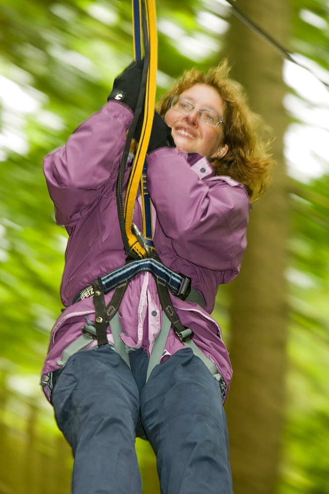 A women on the the Go Ape aerial challenge in Grizedale Forest in Cumbria, England, United Kingdom, Europe