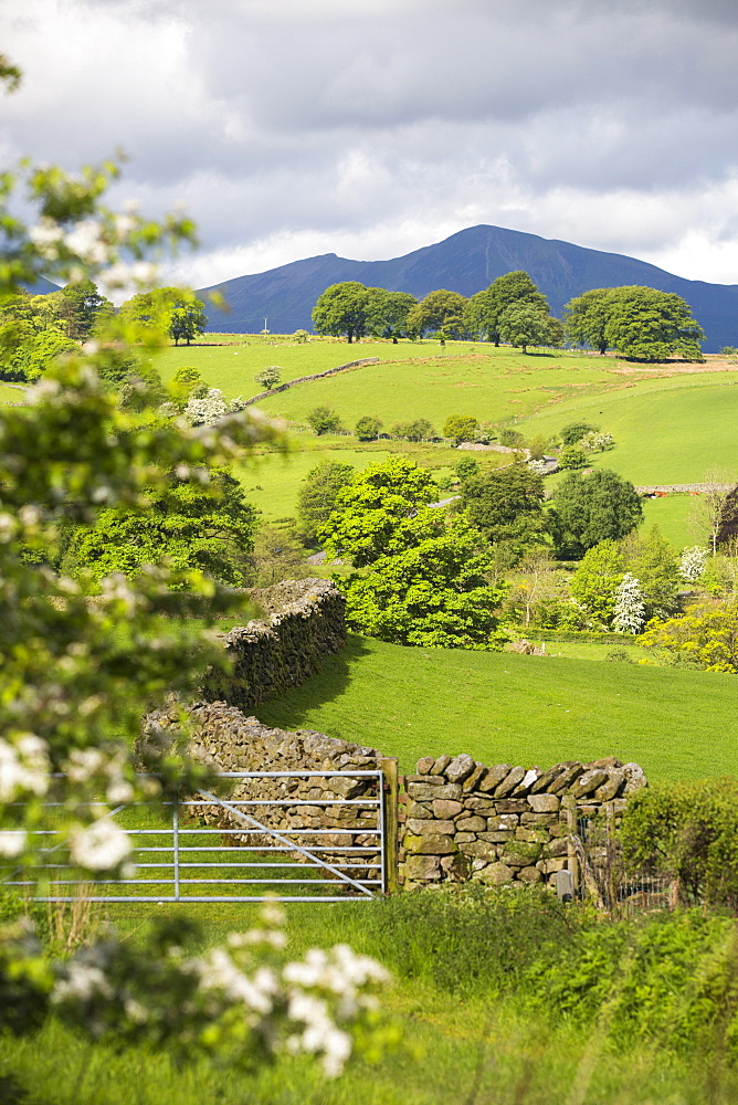 Lake district countryside near Keswick, Cumbria, UK.