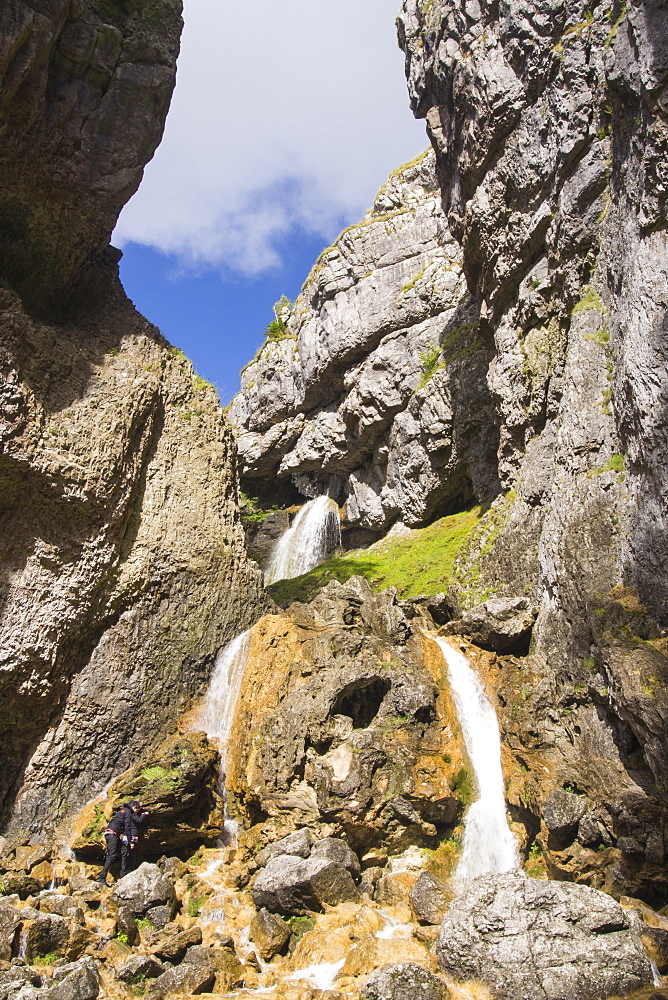 Goredale scar, an ancient collapsed cave near Malham in the Yorkshire Dales.