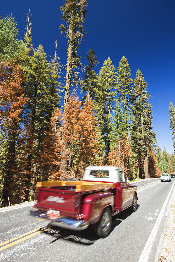 Wildfire damage in Yosemite National Park, California, USA. Most of California is in exceptional drought, the highest classification of drought, which has lead to an increasing number of wild fires.