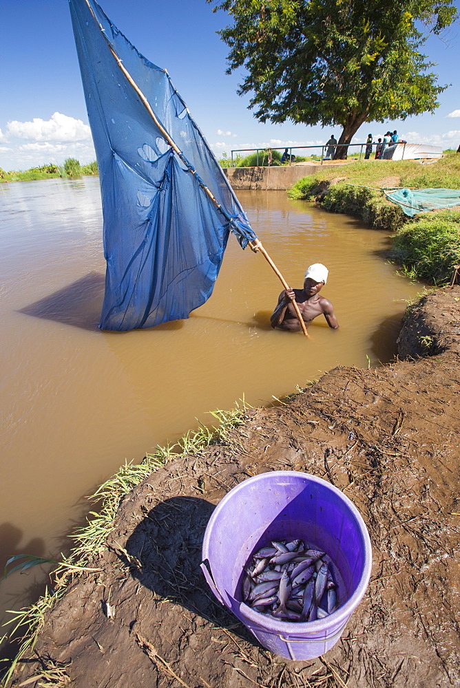 A fisherman catching small fish in the Shire river in Nsanje, Malawi.