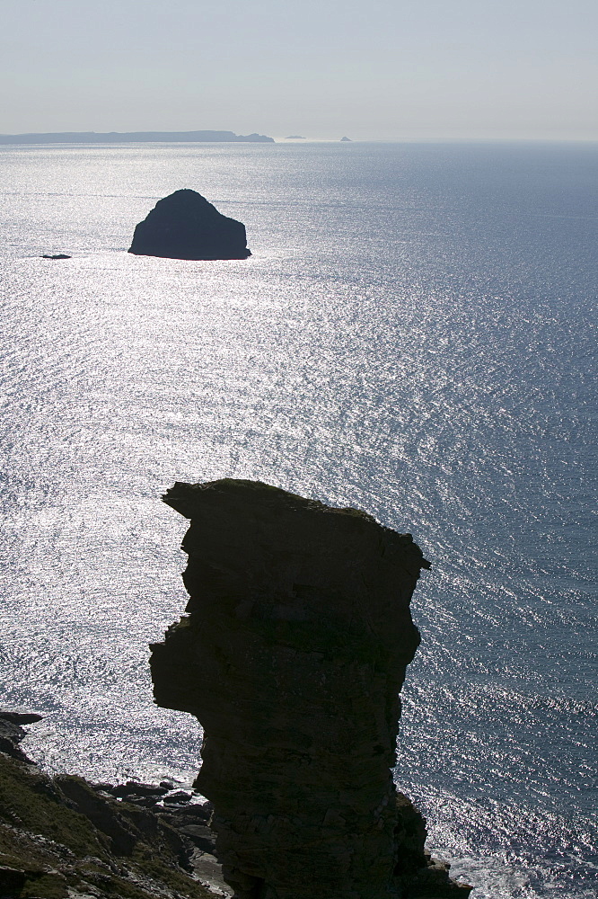 Gull Rock of Trebarwick Strand near Tintagel, Cornwall, England, United Kingdom, Europe