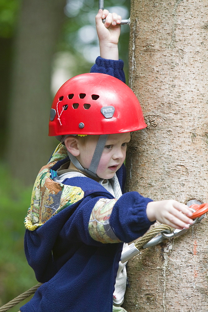 A young boy on a ropes course at Brathay in the Lake District, Cumbria, England, United Kingdom, Europe