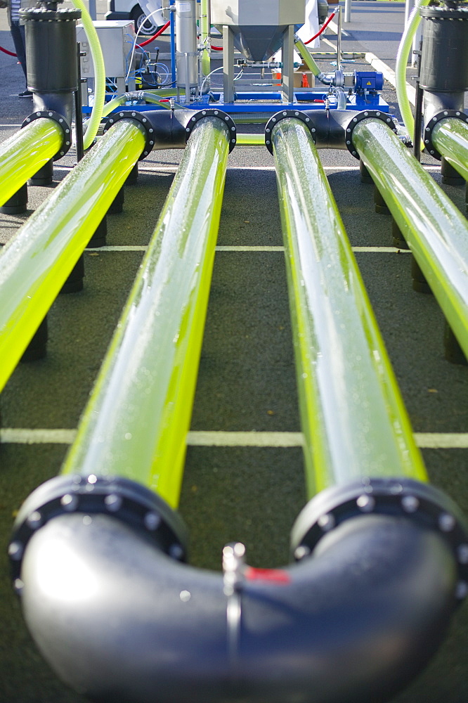 An AlgaeLink algae growing system that is harvested to make ethanol and biodiesel