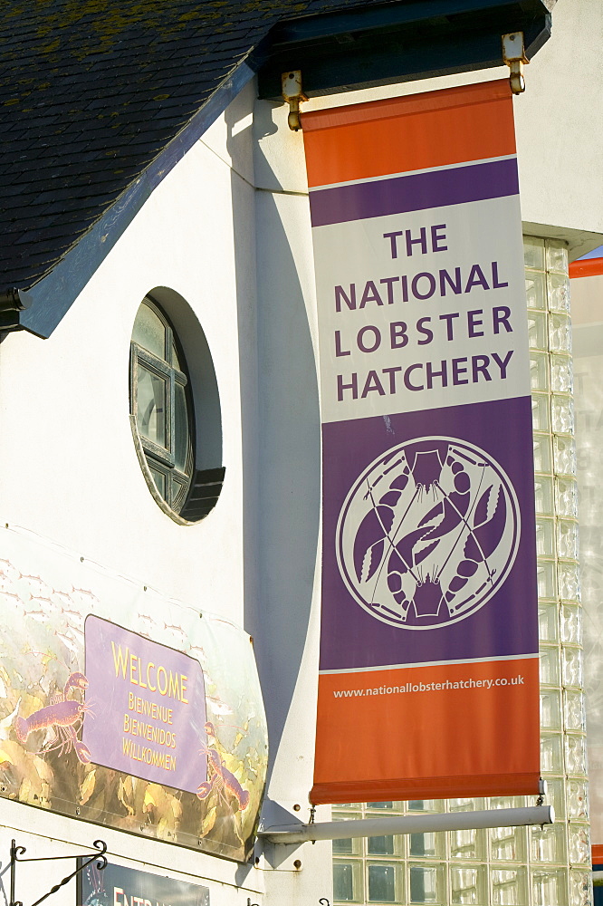 The National Lobster Hatchery at Padstow, Cornwall, England, United Kingdom, Europe