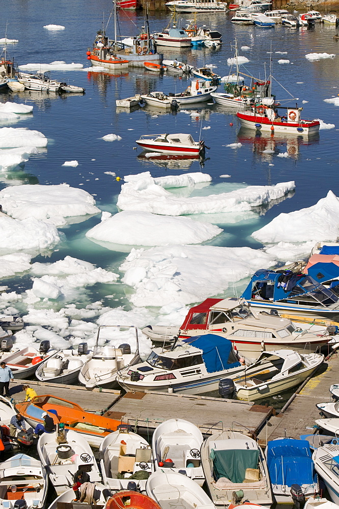 Inuit boats and icebergs in Ilulissat harbour, UNESCO World Heritage Site, Greenland, Polar Regions