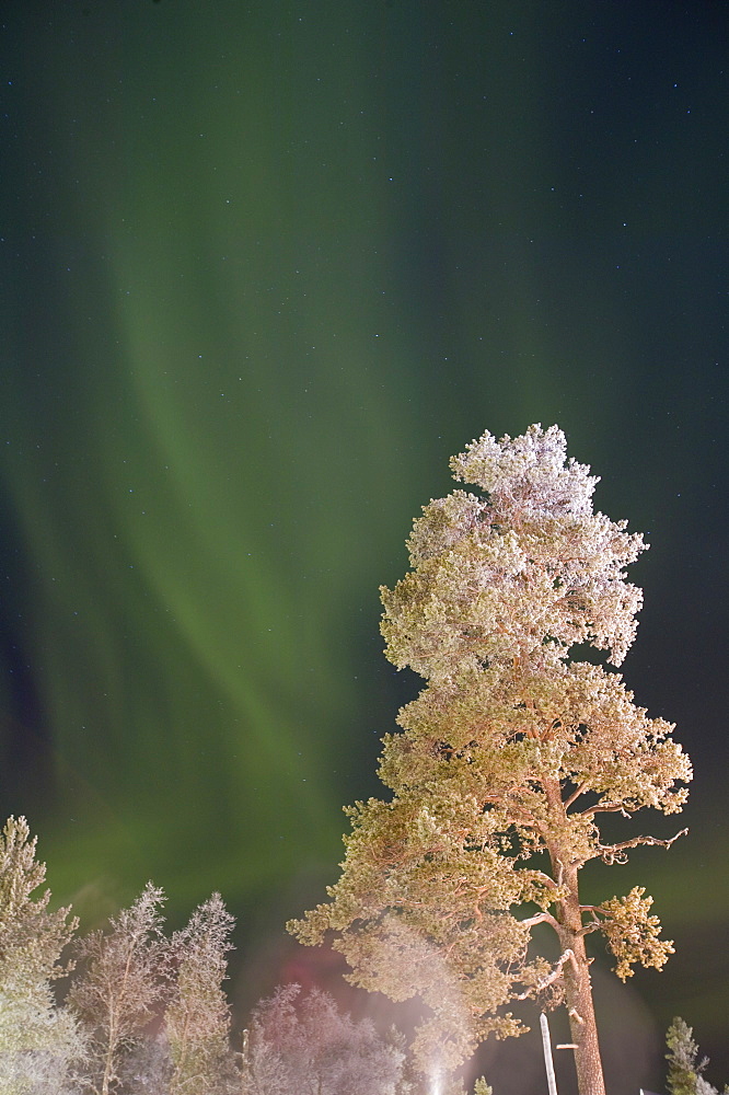 The Northern Lights above Saariselka, Northern Finland, Finland, Scandinavia, Europe