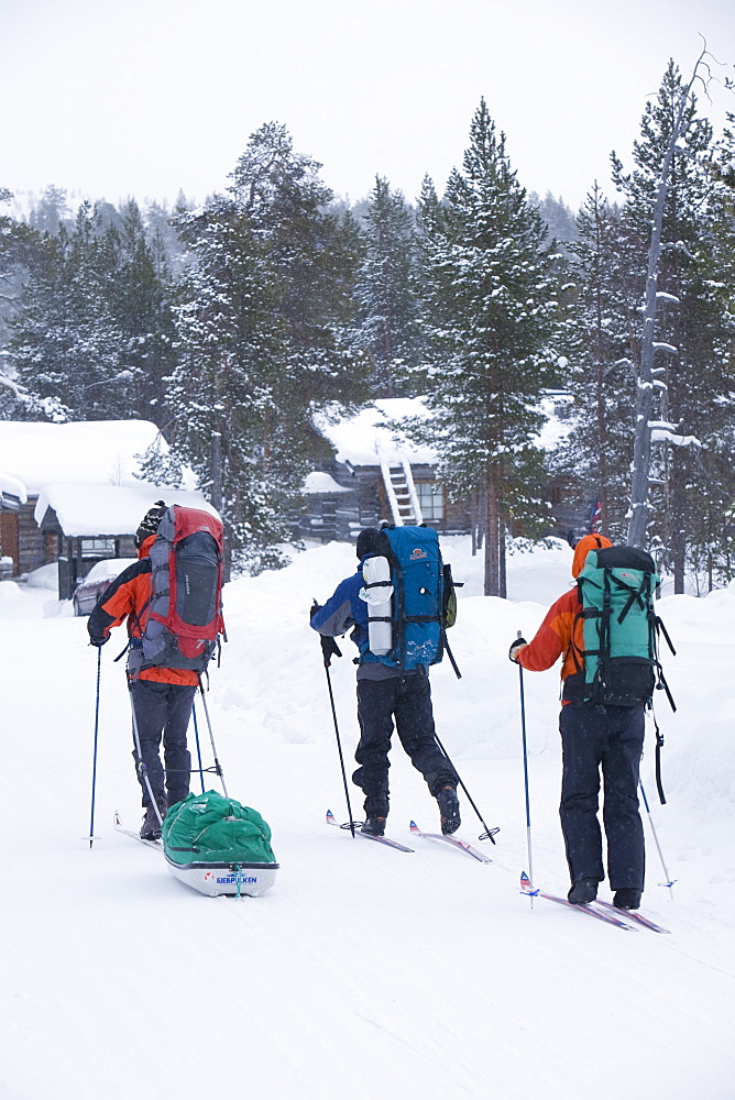 Cross country skiing near Saariselka, Northern Finland, Scandinavia, Europe