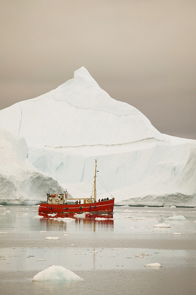 Tourist boat sailing through icebergs from the Jacobshavn Glacier (Sermeq Kujalleq), Greenland, Polar Regions