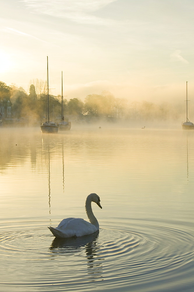 A misty morning on Lake Windermere in the Lake District, Cumbria, England, United Kingdom, Europe