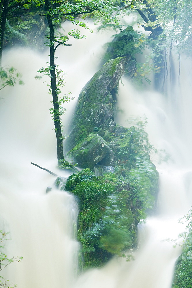 Stockghyll Force in full flood in summer Ambleside, Lake District, Cumbria, England, United Kingdom, Europe