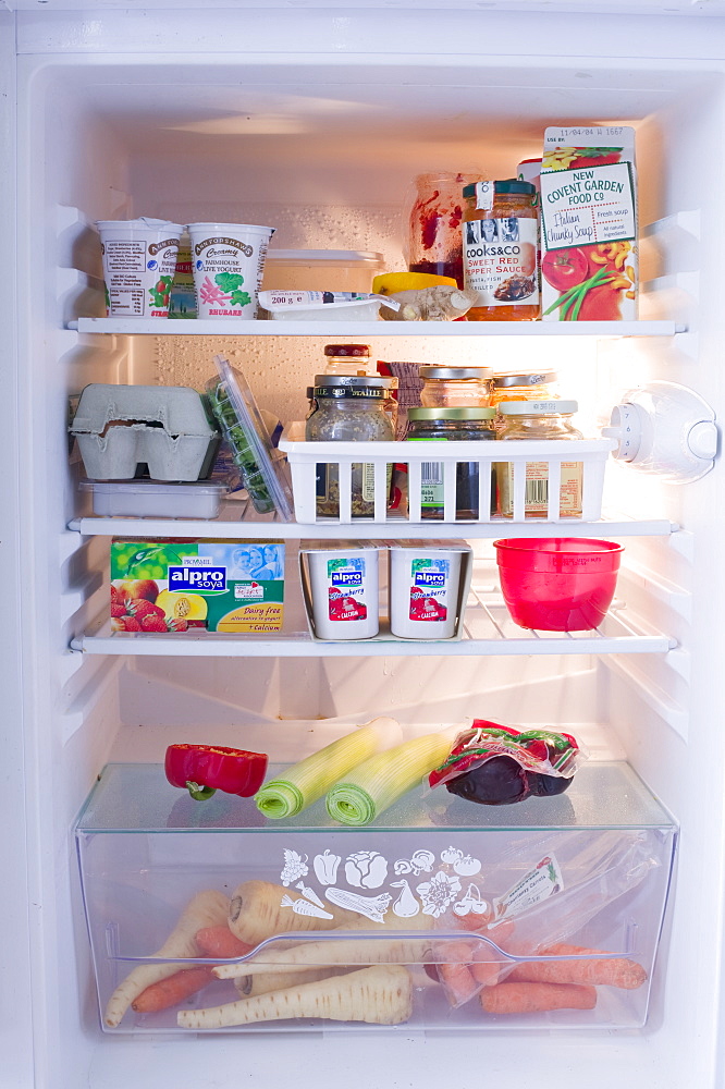 A fridge full of food, United Kingdom, Europe