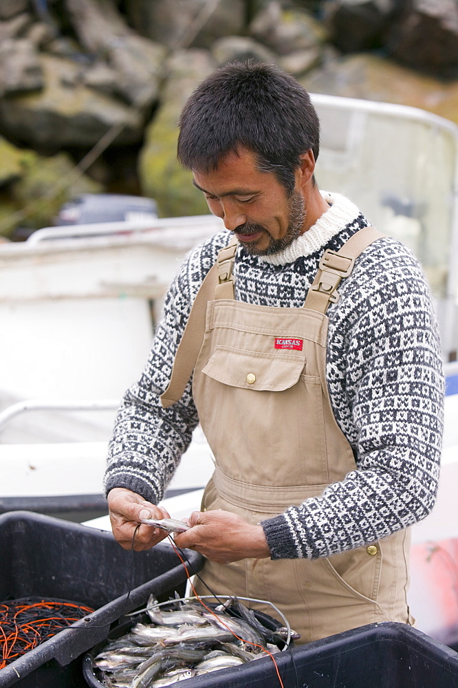 An Inuit man baiting lines for catching Greenland halibut, Ilulissat, Greenland, Polar Regions