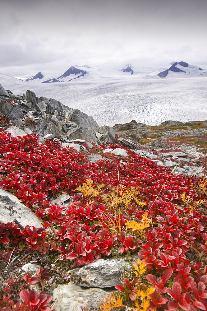 The Harding icefield, receding rapidly due to global warming, Kenai Fjords National Park in Alaska, United States of America, North America