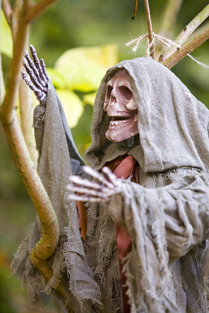 The Halloween trail at Thorp Perrow Arboretum in Yorkshire, England, United Kingdom, Europe