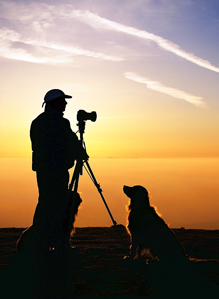 A photographer and dogs on Black Combe at sunset with the Isle of Man behind in the Lake District, Cumbria, England, United Kingdom, Europe