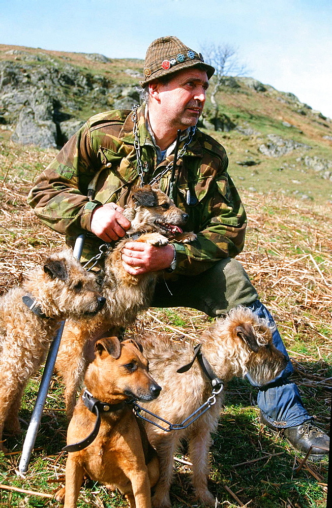 A fox hunter and terriers in the Lake District, Cumbria, England, United Kingdom, Europe