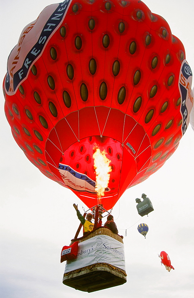 Hot air balloon shaped like a strawberry at the Huddersfield Balloon festival in Yorkshire, England, United Kingdom, Europe