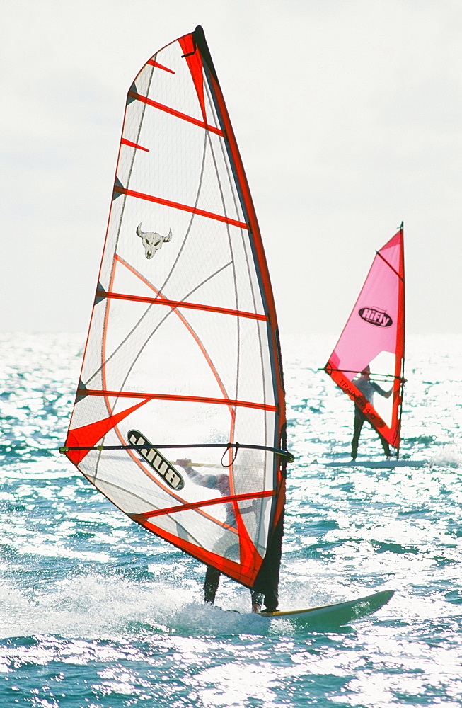 Windsurfers off Tarifa in Southern Spain, Mediterranean, Europe