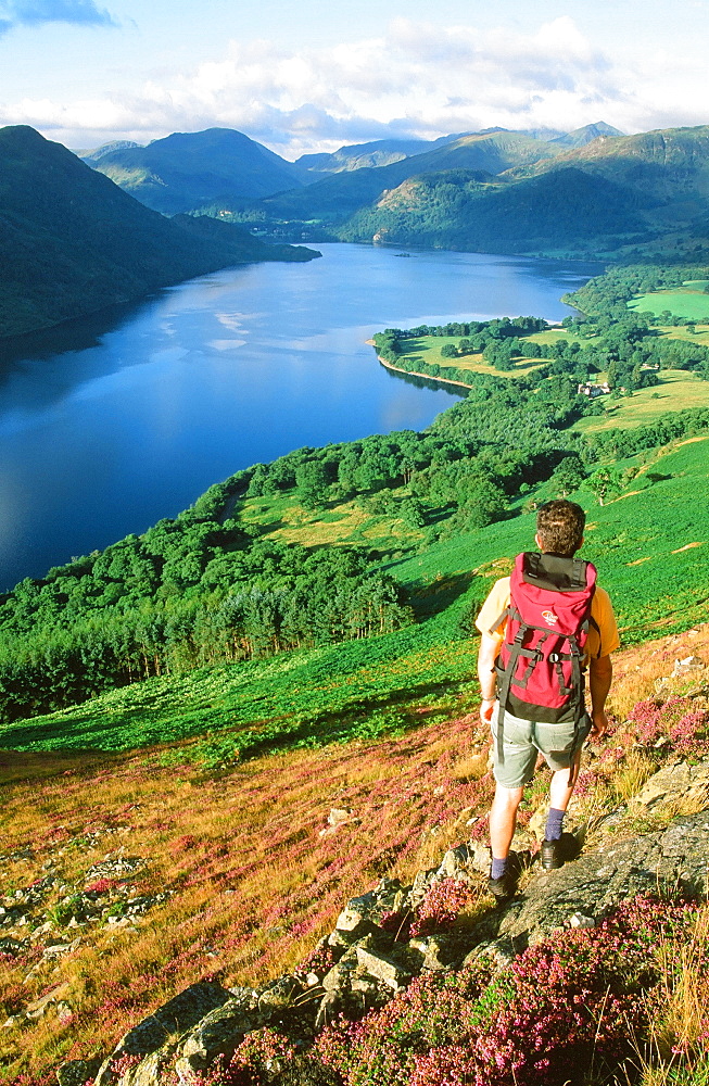 A walker above Ullswater in the Lake District, Cumbria, England, United Kingdom, Europe