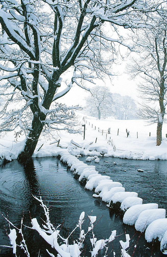 Snow on the stepping stones across the River Rothay in the Vale of Rydal in the Lake District, Cumbria, England, United Kingdom, Europe