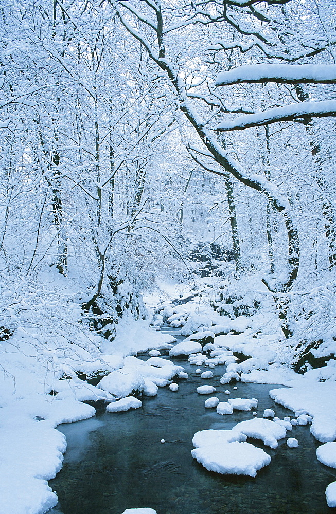 Snow on Stock Ghyll in Ambleside in the Lake District National Park, Cumbria, England, United Kingdom, Europe