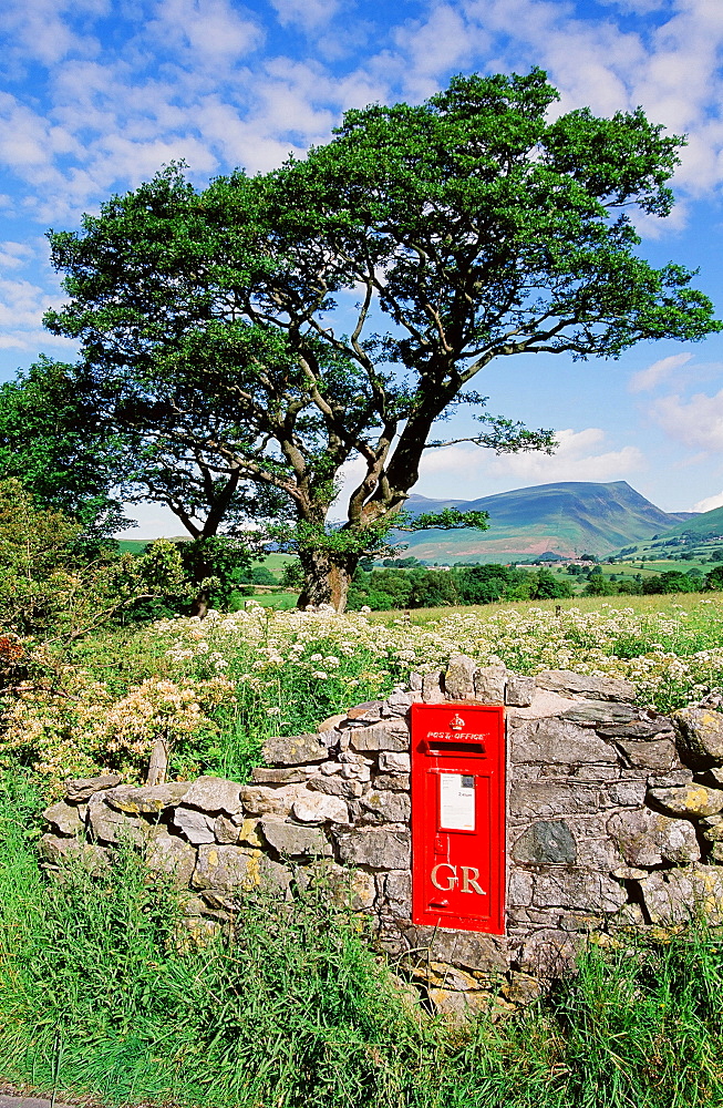 A rural postbox in St. Johns in the Vale near Keswick, Lake District, Cumbria, England, United Kingdom, Europe