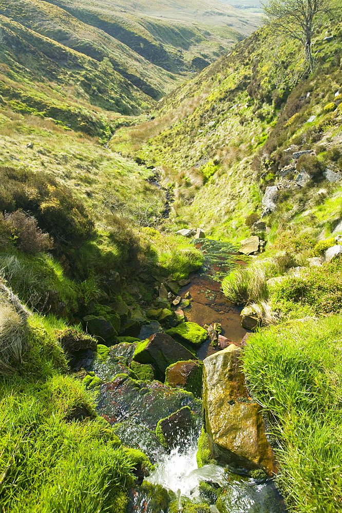 The RSPB reserve at Geltsdale, North Cumbria, England, United Kingdom, Europe