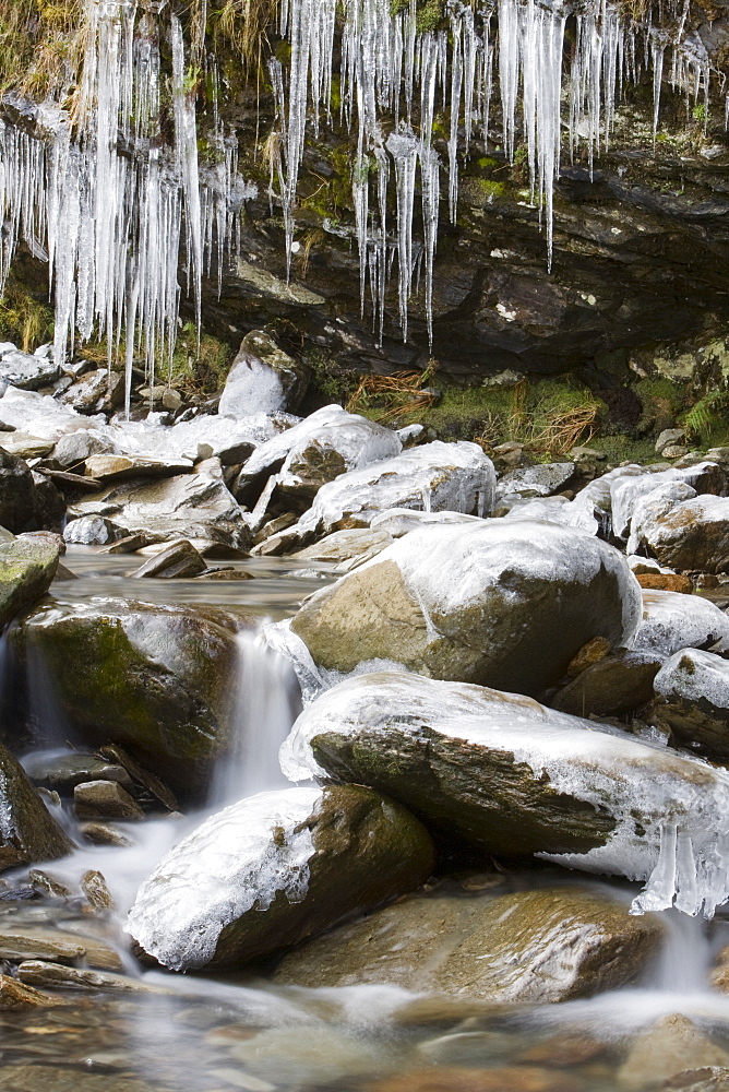 Icicles at Tilberthwaite in the Lake District during a cold snap, Cumbria, England, United Kingdom, Europe