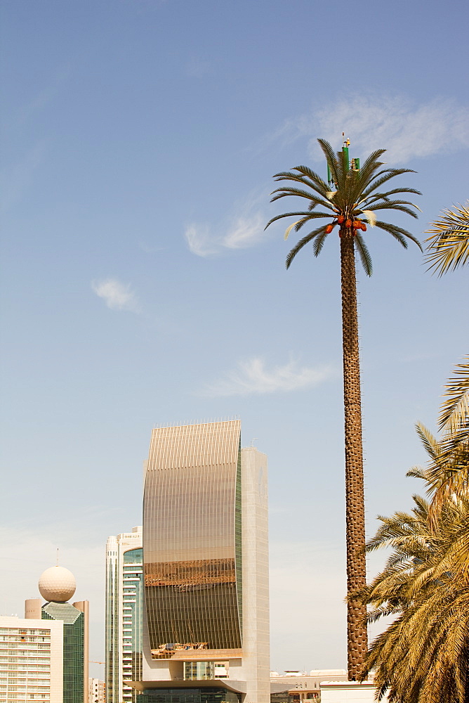 A mobile phone mast made to look like a palm tree in Dubai, United Arab Emirates, Middle East