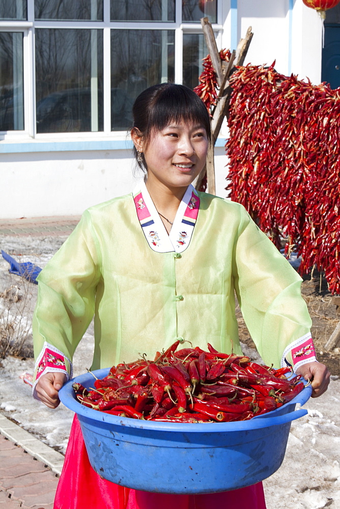 An ethnic South Korean woman farmer in Northern China shows off her chillies, China, Asia