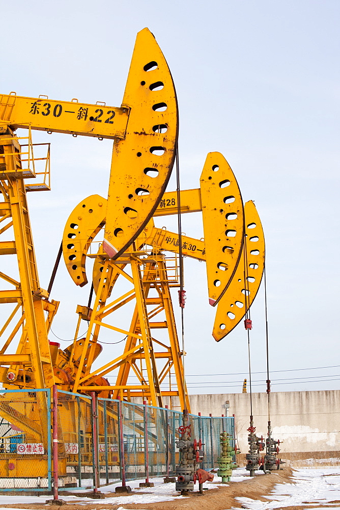 Nodding donkey oil pumps pumping oil up from the Daqing oil field in Northern China, Asia