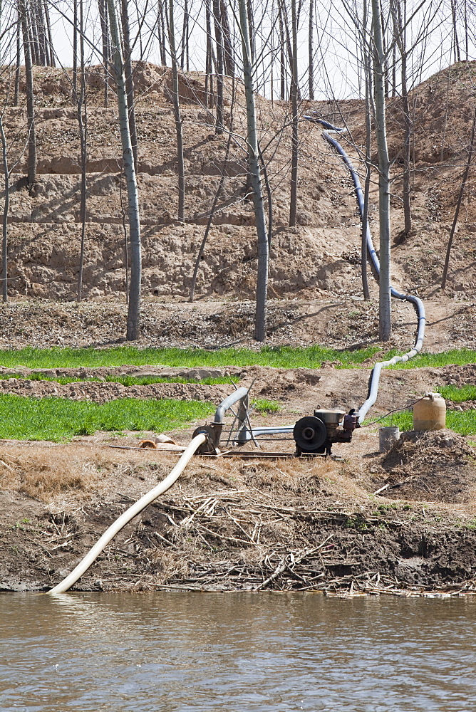 Wheat crops being irrigated near Hangang in Northern China, Asia