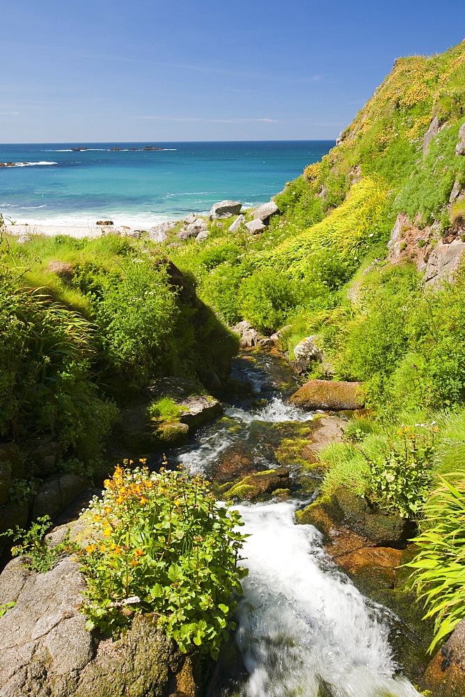 A stream down to Portheras Cove near St. Just on the Cornish Coast, Cornwall, England, United Kingdom, Europe