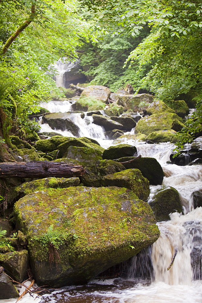 The Glen Lyn Gorge in Lynmouth, Devon, England, United Kingdom, Europe