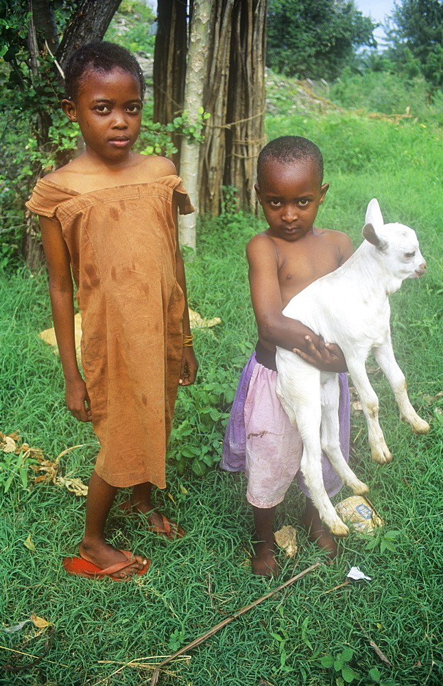 Children and goat in a village on the outskirts of Mombasa, Kenya, East Africa, Africa