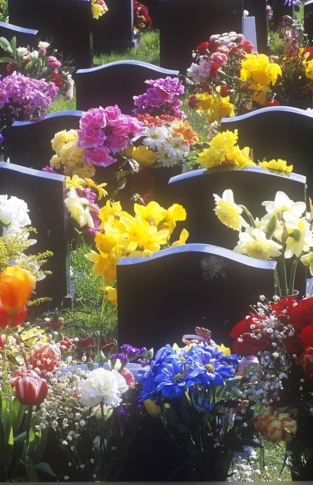 Flowers on graves in a graveyard in Barrow in Furness, Cumbria, England, United Kingdom, Europe