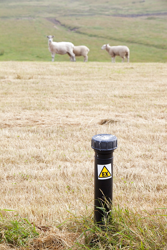 An old rubbish tip where the methane escaping from the decomposing rubbish is being captured and burnt, Walney Island, Cumbria, England, United Kingdom, Europe