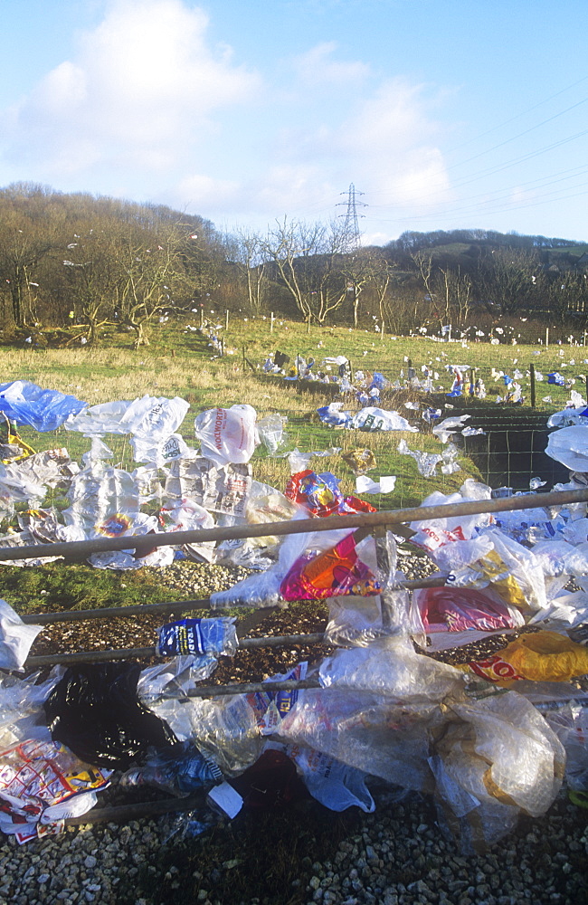 Plastic bags blown from a landfill site in Barrow in Furness, Cumbria, England, United Kingdom, Europe