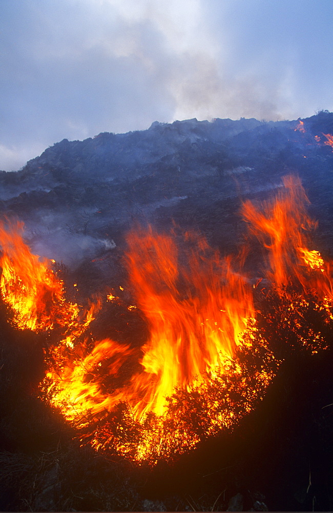 A moorland fire in the Lake District, Cumbria, England, United Kingdom, Europe