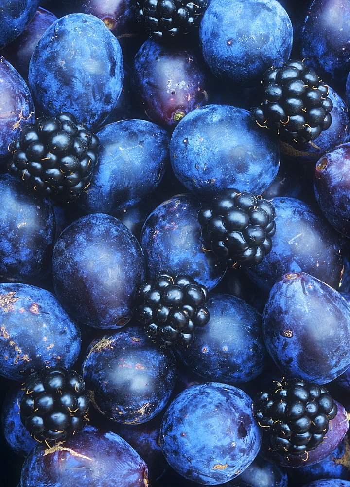 Damsons and blackberries, England, United Kingdom, Europe