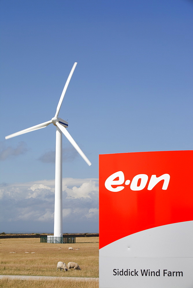 Siddick windfarm on the outskirts of Workington, Cumbria, England, United Kingdom, Europe