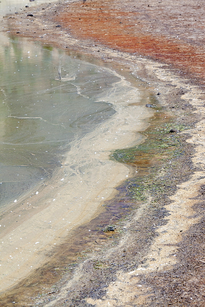 Build up of algae due to low water levels at Lake Eildon after an uprecedented ten years of drought, with only 29 percent capacity, Victoria, Australia, Pacific