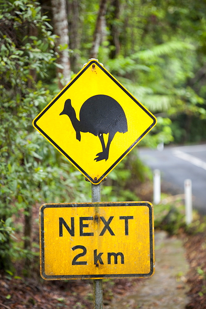 A sign warning motorists to look out for the Southern Cassowary (Casuarius casuarius) in the Daintrre Rainforest in Northern Queensland, Australia, Pacific