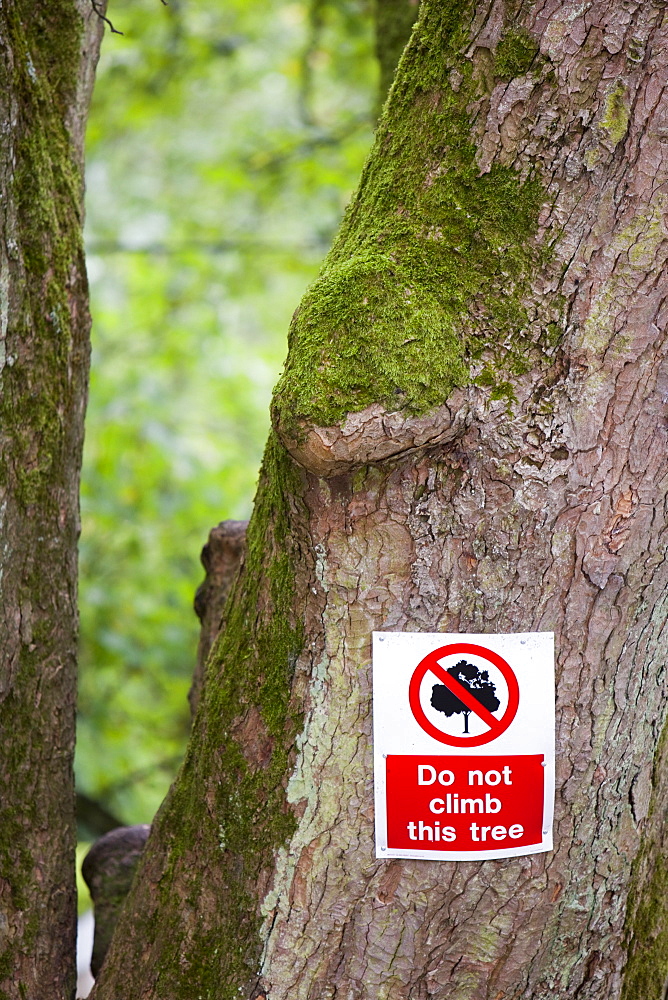 A sign on a tree in a pub garden in Buckden, Yorkshire, England, United Kingdom, Europe