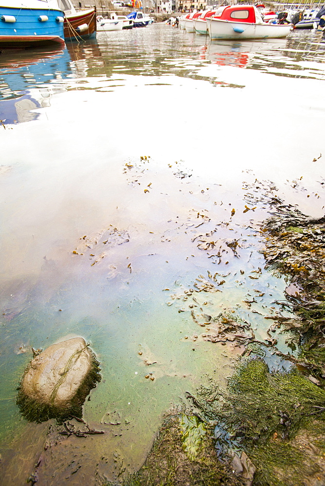 Oil pollution in Lyme Regis harbour, probably from a fishing vessel, Dorset, England, United Kingdom, Europe