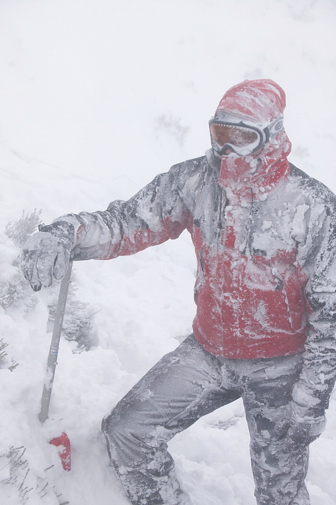 Mountaineers surviving atrocious conditions on Cairngorm, Scotland, United Kingdom, Europe